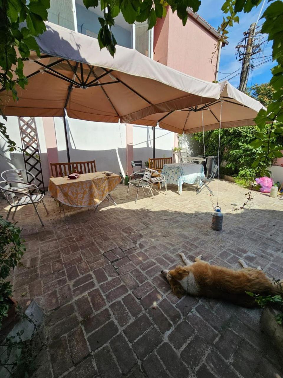 Vila Flavia B&B Constanta Luaran gambar